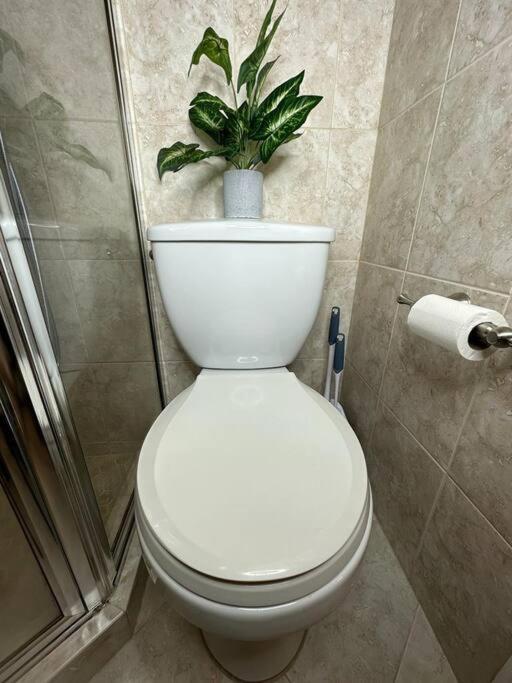 Sleeps 3, Casa Tropical In Miami Apartment Bagian luar foto